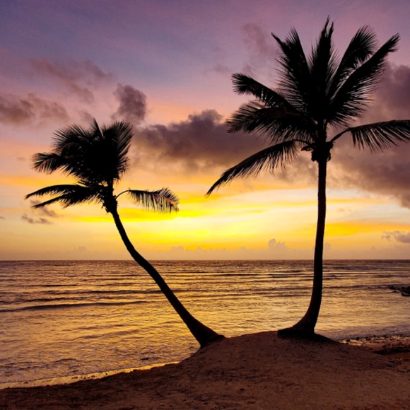 2nd Hand Wins...! - Picture 16 of 16